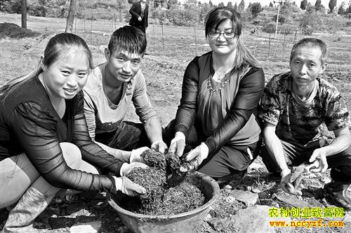 �����ֳЧ��ߣ�����ϴ���С�������������18��