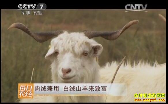 �±�����ɽ�����޼��� ��Ʒ�ִ�����Ч��