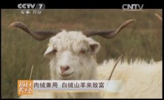 [ÿ��ũ��]����ɽ�����޼��� ������ɽ��Ч��ߺ��¸�