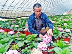 ���ĺ�ԭ��ｭ�ֻ��������ִ�ũҵ���¸�·