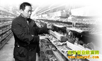 ��ͥ־�ڹ۲������������������