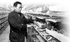 ��ͥ־����������13�� ��������׬��Ǯ