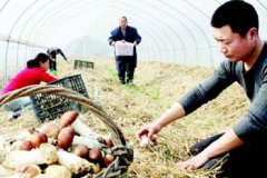 �����������ո���Ģ�� ׬Ǯ������·