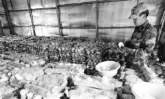 �ع����������ֲ��ͷ�� һĶ�����ֵ4��Ԫ