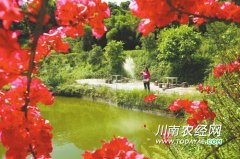 �Ĵ���������Ȫ��ֲ������������̬���¸��е�