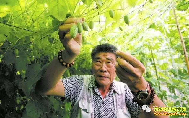 ��Ʒ��ѡ��Ĵָ�������༼��