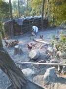 ���츢��κ͢��������Ҷ��������ҵ�¸�