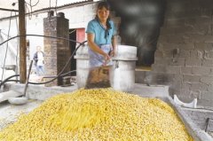 ����ˮ��������������������е�