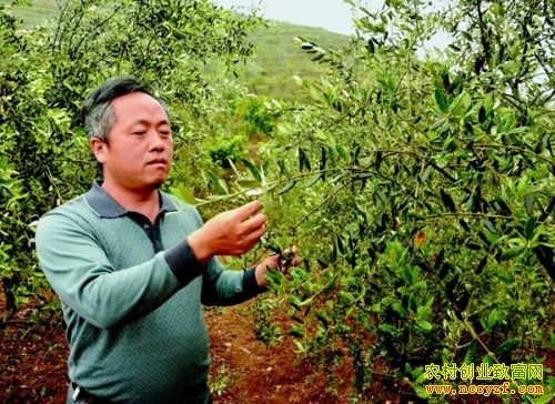 �������ط���10���ֳ����¸����������