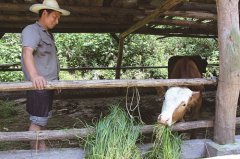 ����ᶼ���Ʒ���ֳ����ţ��׬10��Ԫ