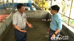 �㶫��ɽ���źͣ��Ĺ�Ҳ����������ַ���