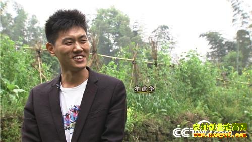 �Ĵ��˱�Ĳ���������������ɽ�������׬Ǯ