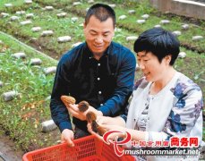 ����μԴ:��Ǿ��̲��¸��̻���ũ���¸�����Ŀ