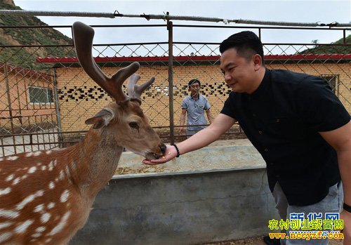 ɽ��������ΰ����ֳ÷��¹ÿͷ¹������6000Ԫ