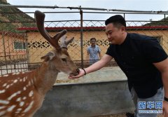 ɽ��������ΰ����ֳ÷��¹ÿͷ¹������6000Ԫ