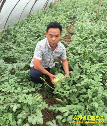 �������Ϻ���������������ǿ��ÿ����������150��