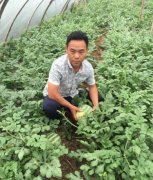 �������Ϻ���������������ǿ��ÿ����������150��