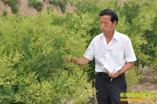 ɽ���˳���ï����ֲ˫����20���ھ��¸�·