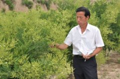 ɽ���˳���ï����ֲ˫����20���ھ��¸�·