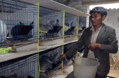 �������ء����������ƺ�������2��׬30����