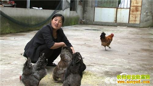 �Ĵ��ന������Ϊ�һظ��׵�����������ҵ