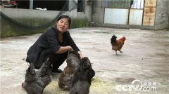 �Ĵ��ന������Ϊ�һظ��׵�����������ҵ