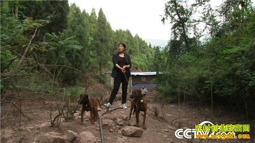 �Ĵ��ന������Ϊ�һظ��׵�����������ҵ