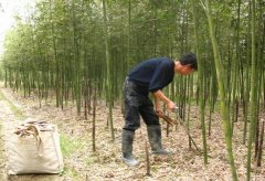 ������¡������ֲ����߳�ũ����ƶ�¸�����Ŀ