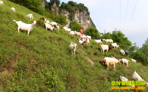 ���ݷ�Դ�ɽ�����Ů���������������¸�·