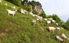 ���ݷ�Դ�ɽ�����Ů���������������¸�·