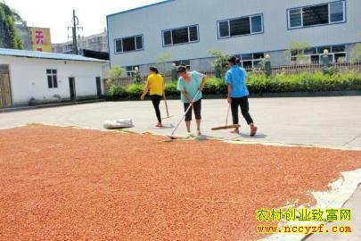 �Ĵ��˱�90��ף�ƻ��紴ҵ�ֻ������ֵ��3ǧ��