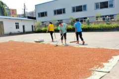 �Ĵ��˱�90��ף�ƻ��紴ҵ�ֻ������ֵ��3ǧ��