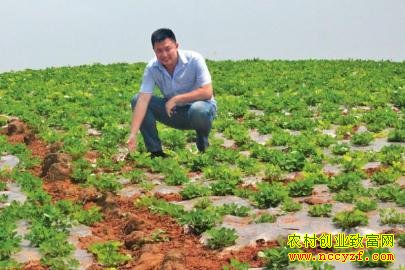 �Ĵ��˱�90��ף�ƻ��紴ҵ�ֻ������ֵ��3ǧ��