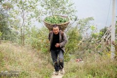 �Ĵ������������չ��ֲ��ֳ���֡��١����¸�·