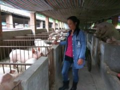 �����˷�ũ�񹤺����㷵�紴ҵ���������¸�·