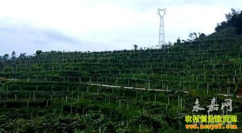 �㽭���δ�־�������ֲ⨺��Ҵ�ҵ�¸�