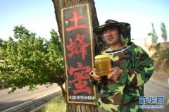 ����������ѧ����������紴ҵ���۷������¸�·