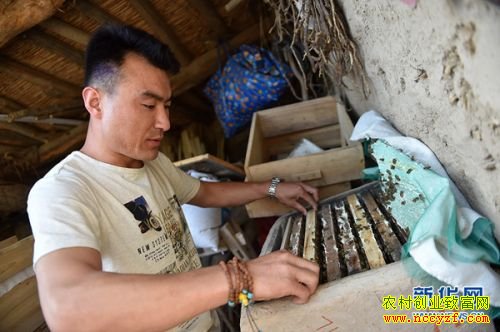 ����������ѧ����������紴ҵ���۷������¸�·