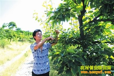 ������ʢ�¸ڿ���������������������׬10����