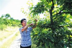 ������ʢ�¸ڿ���������������������׬10����