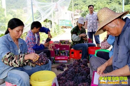 ����������ֲ�������ӳ�ũ���¸�����Ŀ