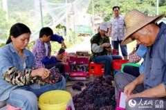 ����������ֲ�������ӳ�ũ���¸�����Ŀ