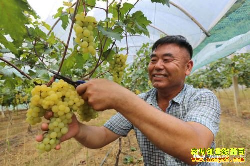 ����������ֲ�������ӳ�ũ���¸�����Ŀ