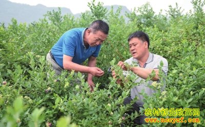 6��23�գ��ع����֧�����������󣩺ʹ����ά���ڹ۲���ݮ���ơ�