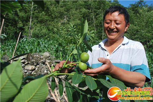 �Ĵ����˶�֥����ֲ���Һ��¸�