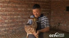 �Ƹ�������ȥ ���������������¹�������