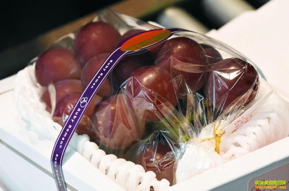 һ��7������ѳ�ɶ��