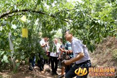 �Ĵ���Ԫ:��ֲ��������ũ���պ���Ŀ