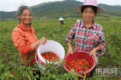 ��������:������ֲ��ũ����ƶ�¸�����Ŀ