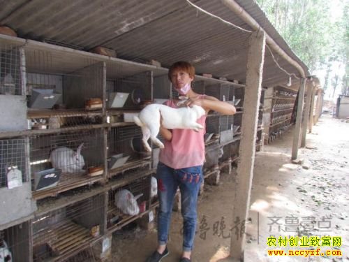 ɽ������³ɸ������¸� ����������ǧֻ����Ӧ��